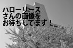 那覇市のハローリース